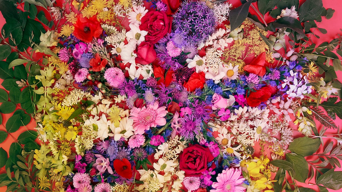 So steht es um die Rechte der Frauen So steht es um die Rechte der Frauen