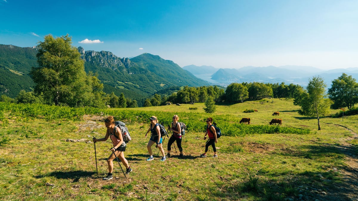 Wandern: 5 Gründe für das Ausdauer-Training im Grünen Wandern: 5 Gründe für das Ausdauer-Training im Grünen