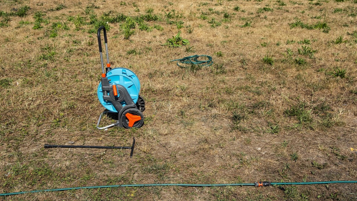 Hitze und Dürre: So erholen sich Rasen und Garten wieder Hitze und Dürre: So erholen sich Rasen und Garten wieder