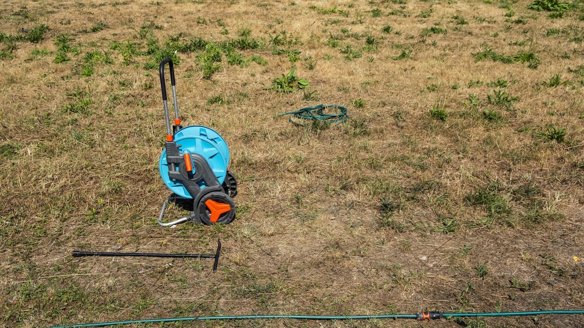 Hitze und Trockenheit: So erholen sich Rasen und Garten wieder Hitze und Trockenheit: So erholen sich Rasen und Garten wieder