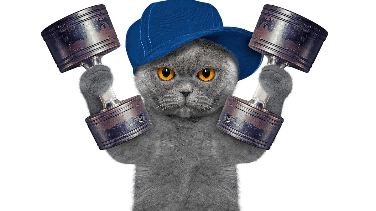 8 Fakten zum Muskelkater Beobachter