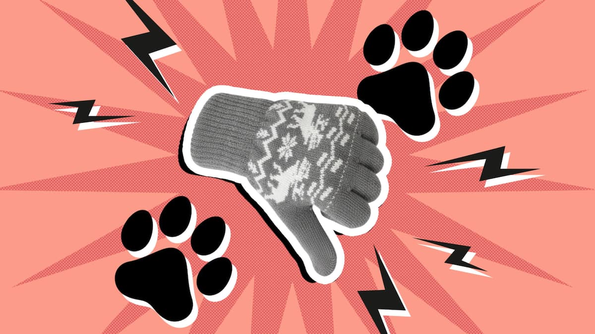 Vier Pfoten verärgert Spenderinnen mit Gratis-Handschuhen Vier Pfoten verärgert Spenderinnen mit Gratis-Handschuhen