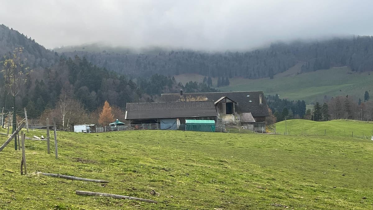 Tierschützer fordern schnelle und transparente Informationen Tierschützer fordern schnelle und transparente Informationen