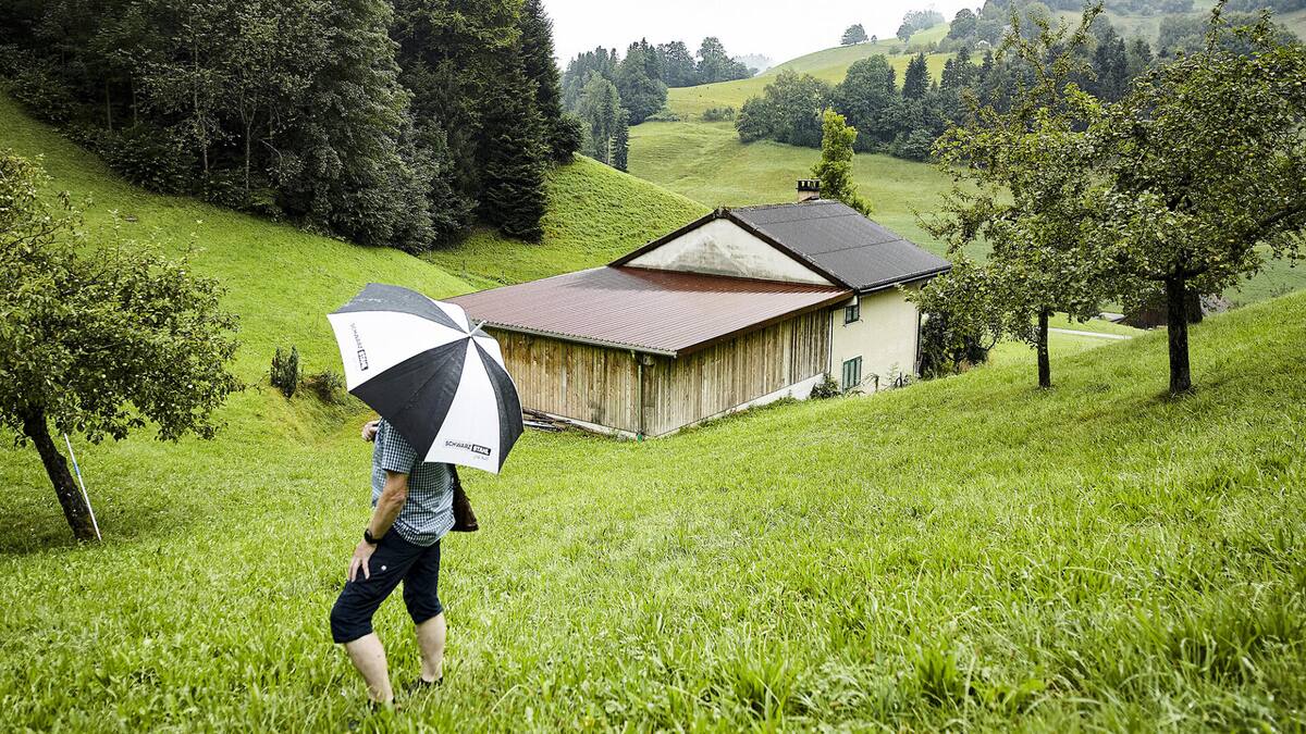Demolition! Municipality gave incorrect approval for barn