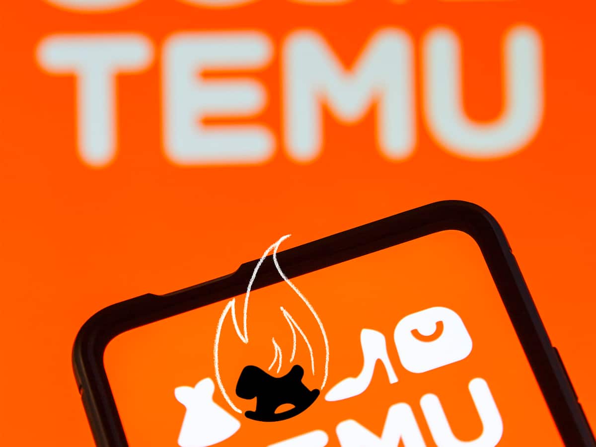 Temu verkauft gefhrliches Spielzeug  Tipps fr sicheres Onlineshopping |  Beobachter