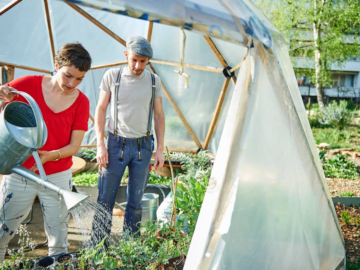 Stadt-Bauern mit Visionen | Beobachter