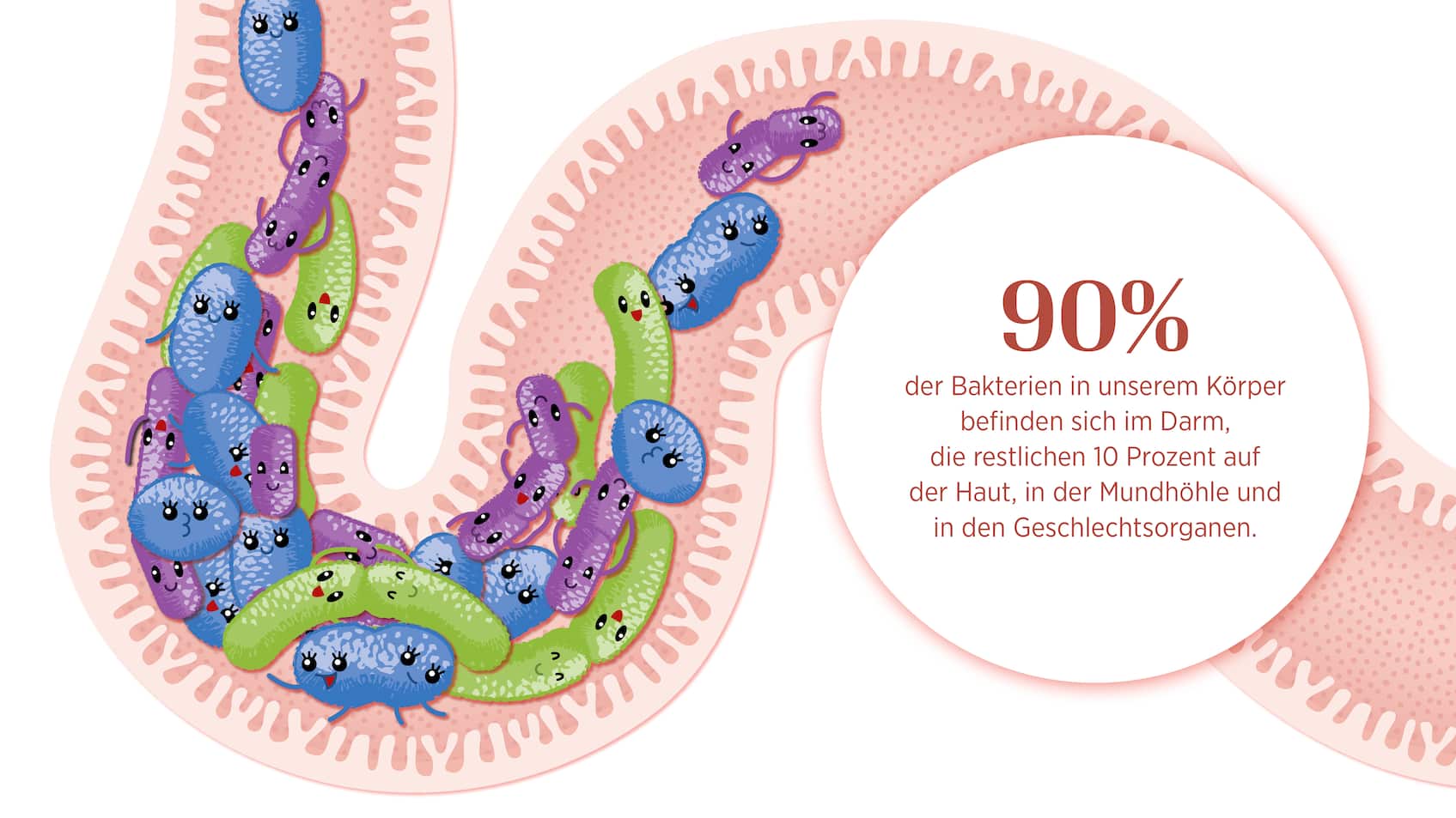 Facts zur Darm-Hirn-Achse