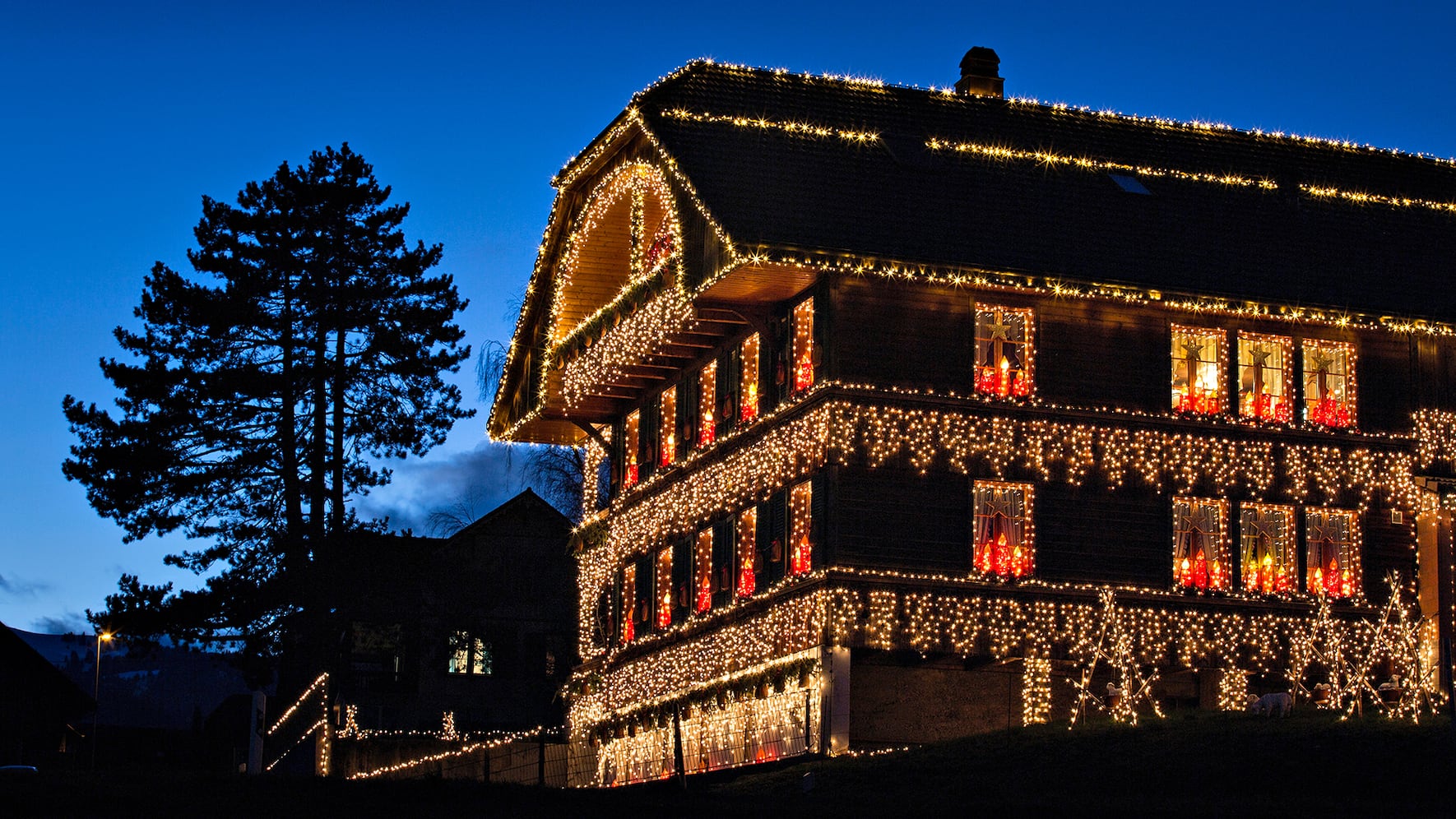 Die funkelnde Weihnachtsbeleuchtung und ihre Nörgler
