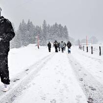 Auszeit am Ende der Strasse Auszeit am Ende der Strasse