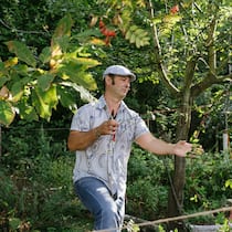 In diesem Garten entsteht die Zukunft Daniel Lis ist fasziniert vom Biosystem Waldgarten. Hier wachsen unter anderem Kürbisse, Rotkohl, Vogelbeeren, Straussenfarn und Mispeln.