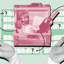 So versteuern Sie Wertvolles richtig In einer geöffneten Holzkiste befindet sich eine teure Uhr, ein Ring, eine Flasche Wein und ein Hund. Auch wertvolle Habseligkeiten müssen in der Steuererklärung angegeben werden – oder etwa doch nicht?