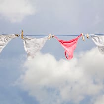 Diese Damen-Unterhose ist am giftigsten Zu sehen sind vier Damenunterhosen, die an einer Wäscheleine im Freien aufgehängt sind.