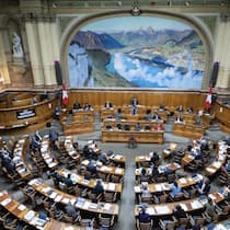 Bald gibt es Einsicht in den CS-Deal Im April debattierte das Parlament in einer Sondersession die Übernahme der CS durch die UBS.