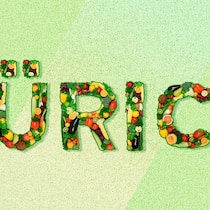 Zürcher Restaurants im Vegi-Check Vegi-Rating Zürich