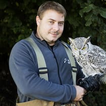 «Meine Vögel sind intelligent. Ihre Beute ist es auch» Unterwegs mit dem Falkner Benjamin Gregor-Smith in Oberwil, Basel-Landschaft