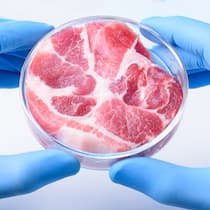 Laborfleisch? Nein danke! Laborfleisch: Viele Firmen tüfteln am tierlosen Ersatzfleisch.