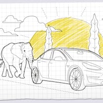 Sind E-Autos schlecht fürs Klima? Zwei Elefanten schlendern hinter einem Auto her