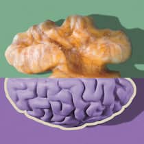 Wie die Mind-Diät das Risiko für Alzheimer halbieren kann Eine Baumnusshälfte und eine Gehirnhälfte vor grün-violettem Hintergrund. Wie Nahrung unsere Gehirnleistung beeinflusst.