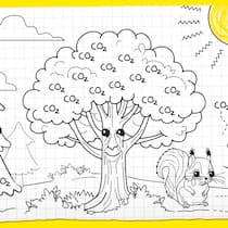 Bäume pflanzen – bringts das wirklich? Eine Kinderzeichnung mit Bäumen, in deren Krone CO2 steht