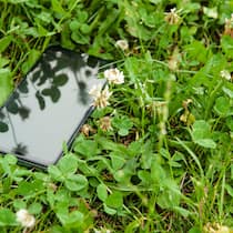 So finden Sie ein verlorenes Handy auch ohne Internet Ein Smartpohne liegt mitten in einer Wiese, vom Gras halb verdeckt.