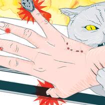 Verletzt – das ist jetzt zu tun Eine gezeichnete Hand mit eingeklemmtem Finger und einer Katze, die sie beisst. Wie man sich bei kleinen Notfällen im Alltag verhält.