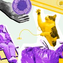 Ärger auf dem Trottoir: Darf man das wirklich? Eine Frau im Liegestuhl, eine Katze, Müllsäcke und eine schimpfende Frau vor gelb-grünem Hintergrund. Was auf dem Trottoir rechtlich gilt.