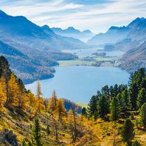 Aldi Suisse Tours: Erst erbarmungslos, dann einsichtig Blick auf Silvaplanersee und Silsersee. Ein Rentner erleidet einen Schlaganfall und muss die Ferien absagen. Der Reiseveranstalter knausert bei der Rückzahlung. Der Beobachter kann helfen.