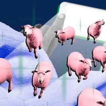 Der Mythos vom bösen blauen Licht Zwei Hände halten ein Smartphone mit hellem Bildschirm, aus dem rosa Schafe laufen, vor dunklem Hintergrund. Blaulicht stört das Einschlafen nicht.