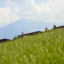 Warum Eigenheimbesitzer bald mehr zahlen müssen  Bild von drei Einfamilienhausdächern hinter einem Hügel.