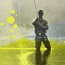 Verseuchte Fische – Bund kann Grenzwerte nicht durchsetzen Ein Fischer, Bild mit Gelb verfremdet - Das Bundesamt für Lebensmittelsicherheit kann die eigenen Grenzwerte nicht durchsetzen und macht nichtssagende Äusserungen zur Gesundheitsgefahr