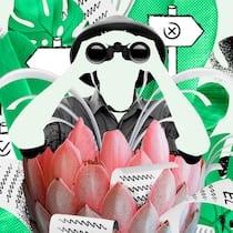 Haben Sie Anspruch auf Geld? Illustration Sozialhilfe-Dschungel; Wer findet den Weg durch den Sozialhilfe-Dschungel? Ein dichtes Netz oder ein undurchdringlicher Dschungel? Wer möglicherweise Anspruch auf staatliche Unterstützung hat, sollte genau wissen, welche Rechte er oder sie hat. Der Beobachter sagt, was gilt.