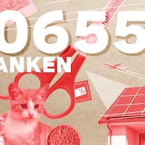 «Wir kommen zusammen auf über 20’000 Franken im Monat» Illu mit Büsi, Haus und Geld – Treuhänderin und Informatiker verdienen viel, deshalb schauen sie beim Urlaub nicht aufs Geld