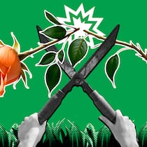 Wann Nachbarn zur Heckenschere greifen dürfen Zwei Hände halten eine Gartenschere, die eine Rose zerschneidet. Dahinter ist eine Explosionswolke vor grünem Hintergrund. Wann Nachbarn Pflanzen kappen dürfen.