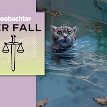 Warum musste Streifli sterben? Kater Streifli ertrinkt in Nachbars Pool