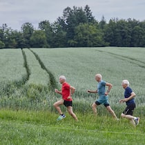 Pensionskassenrenten sollen sich mehr lohnen Drei Senioren joggen über einen Feldweg.