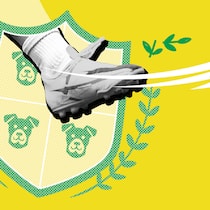 Den Vereinsschreck rausschmeissen? Das geht – manchmal Ein Fuss mit Stollenschuh kickt durch ein Wappen mit Hundegesichtern ein Gesicht fort - Wie man nervige Vereinsmitglieder loswird.