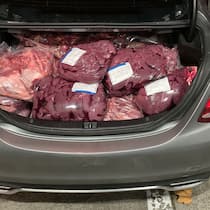 Massiv mehr Schmuggelware bleibt am Zoll hängen Bild aus der Medienmitteilung "Schweizer Zoll 2024: Der Schmuggel von Fleischwaren hält an" vom 11.03.2025. Quelle: https://www.bazg.admin.ch/bazg/de/home/aktuell/medieninformationen/medienmitteilungen.msg-id-104442.html Copyright: Bundesamt für Zo…