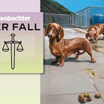 Nachbarschaft geht vor die Hunde Collage Aufmacher Podcast "Der Fall - Ganz schön angepisst"- Copyright: bunterhund Illustration - Montage: Beobachter