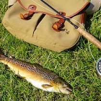 Ein Zustupf zum Fischerpatent Brown trout lying in grass beside fishing rod and bag