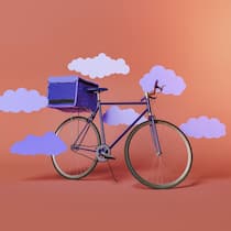 Velokurierin wird nicht ausgebremst Velokurier-Velo