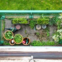 Nur Landi verkauft umstrittenes Glyphosat Gift im Garten: Viele nutzen Pestizide – auch umstrittene.