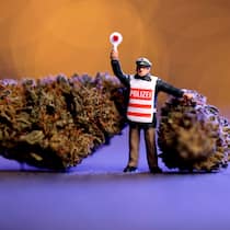 Kiffer dürfen Gras behalten Symbolbild mit Playmobil-Figuren: Polizei zeigt Stopp-Schild vor einem Gras-Klumpen