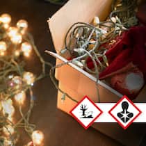 Illegale Schadstoffe in Lichterketten Lichterkette mit Gefahrensymbolen