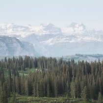 Wo die wilden Bäume wohnen Boedmerenwald Kanton Schwyz
