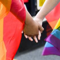 Darum gehts bei der Abstimmung zur Anti-Rassismus-Strafnorm Gay Pride Fribourg