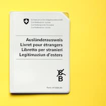Wenn bei Armut Wegweisung droht Ausländerausweis