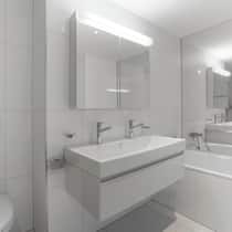 Neonröhren gibt es bald nicht mehr Ein neu hergerichtetes Badezimmer mit WC, Dusche, Waschbecken und einem Spiegelschrank, an dem oben ein längliches Leuchtmittel angebracht ist. Ab Ende August 2023 dürfen in der Schweiz keine quecksilberhaltigen Neonröhren mehr im Handel verkauft werden.