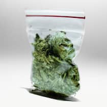 Der CBD-Kater Beutel mit Hanfblüten