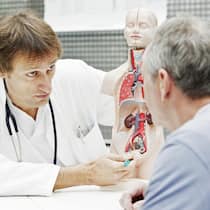 Check-ups sind nicht immer sinnvoll – welche braucht es? Ein Arzt erklärt einem Patienten an einem Modell eine Untersuchung