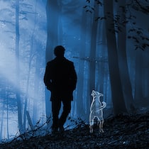 «Nur wenige sind zum Einsiedler geboren» Mann mit Hund im Wald